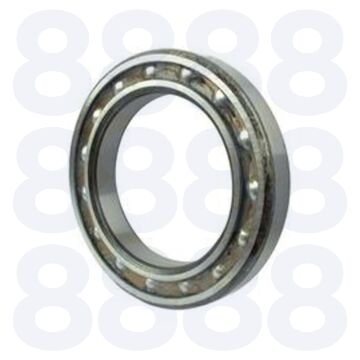REAR AXLE BEARING