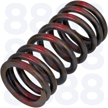 VALVE SPRING