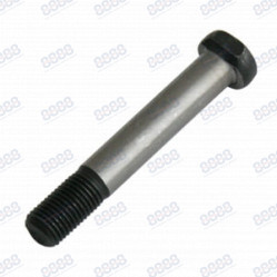 Category image for CON ROD BOLTS & NUTS