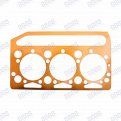 Category image for HEAD GASKET