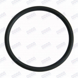 Category image for LIFT PISTON O RING