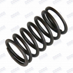 Category image for VALVE SPRING