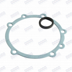 Category image for INJECTION PUMP GASKETS & SEALS